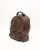 Louis Vuitton Monogram Palm Springs Pm Backpck