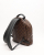 Louis Vuitton Monogram Palm Springs Pm Backpck