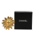 Chanel B Chanel Gold Gold Plated Metal Lion Pin Brooch France