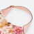 Gucci New Jackie Flora Pink Canvas Leather Limited Edition