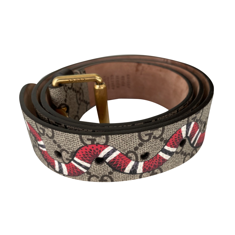 Gucci store belt 434520