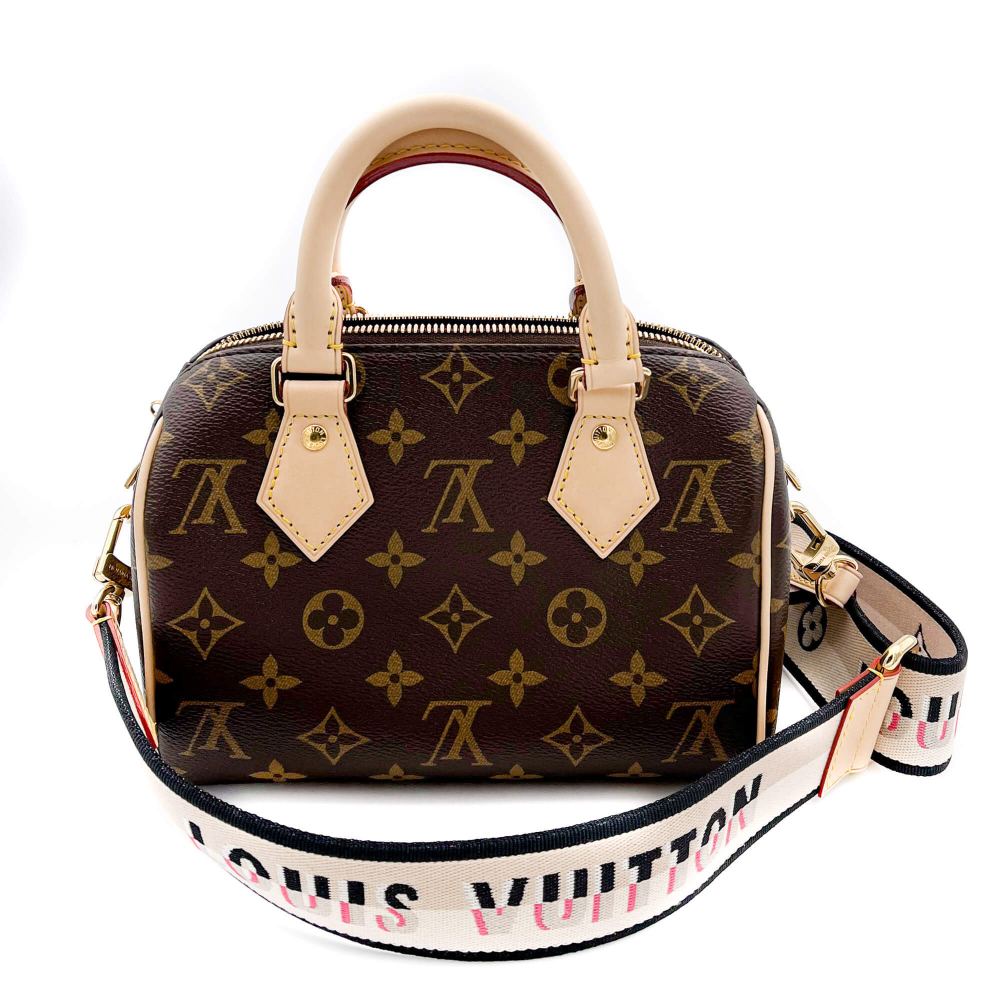 Louis Vuitton Speedy 20 Monogram