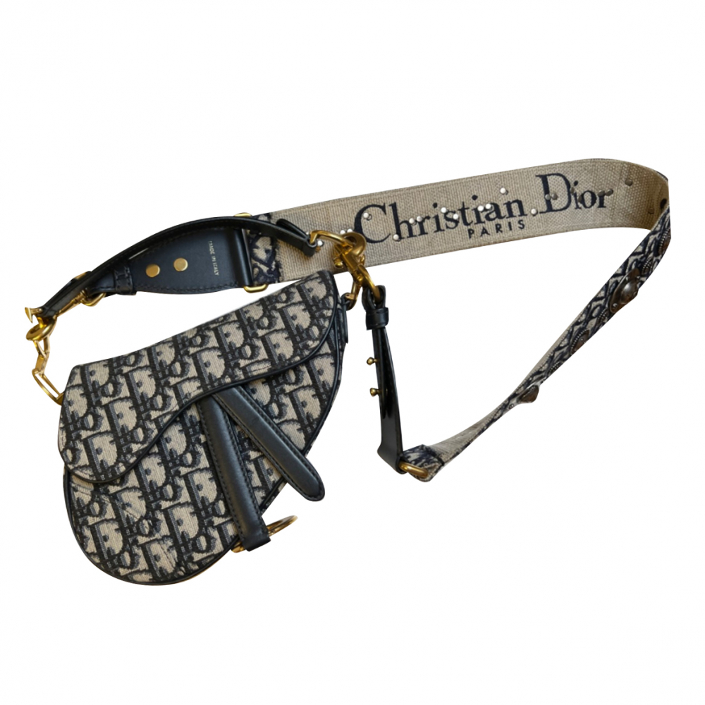 Christian Dior Saddle Mi Canv