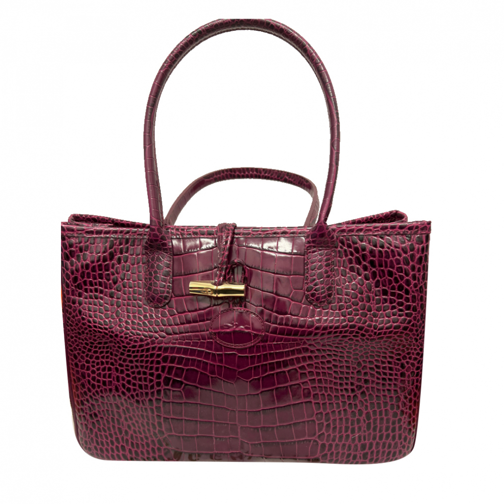 Longchamp Handbag