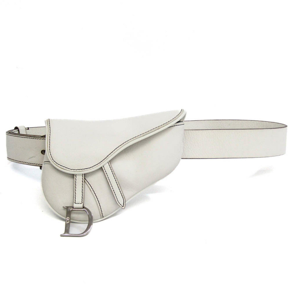 Christian Dior Dior Saddle