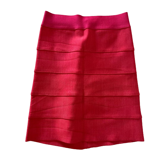 Herve Leger Skirt