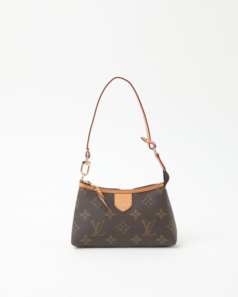 Louis Vuitton Mini Pochette Delightful Bag