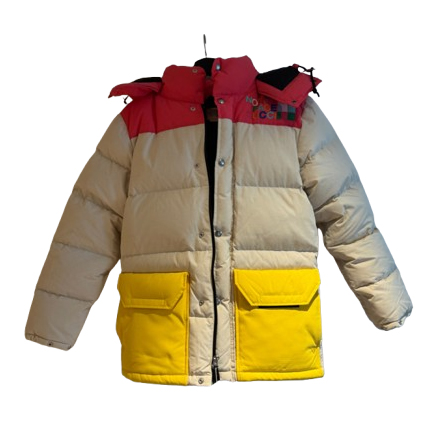 Gucci veste en duvet x North face