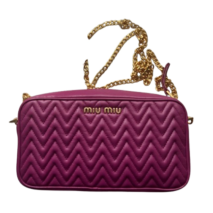 Miu Miu Camera bag Dalia