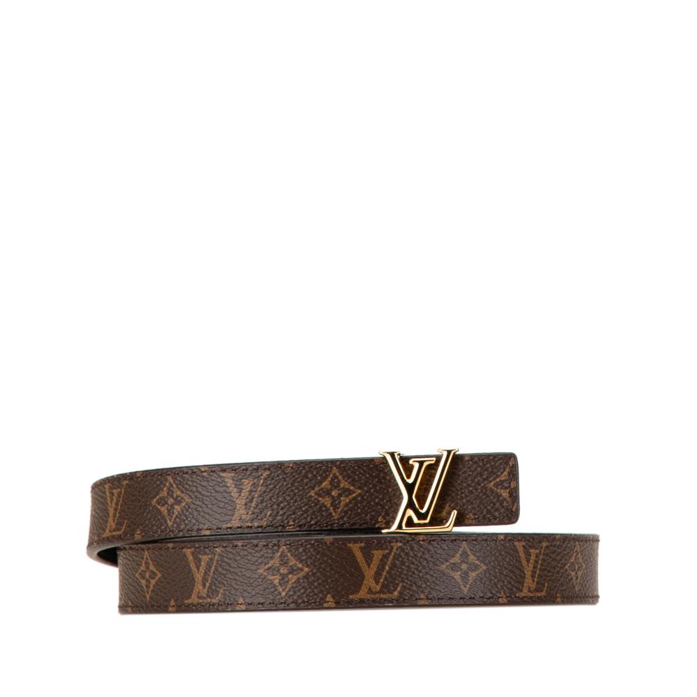 Louis Vuitton AB Louis Vuitton Brown Monogram Canvas Canvas Monogram LV Iconic Reversible Belt Spain