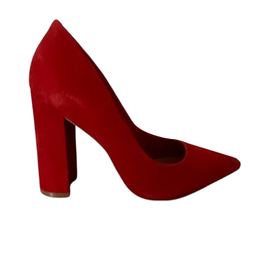 Aldo Mirucia pumps