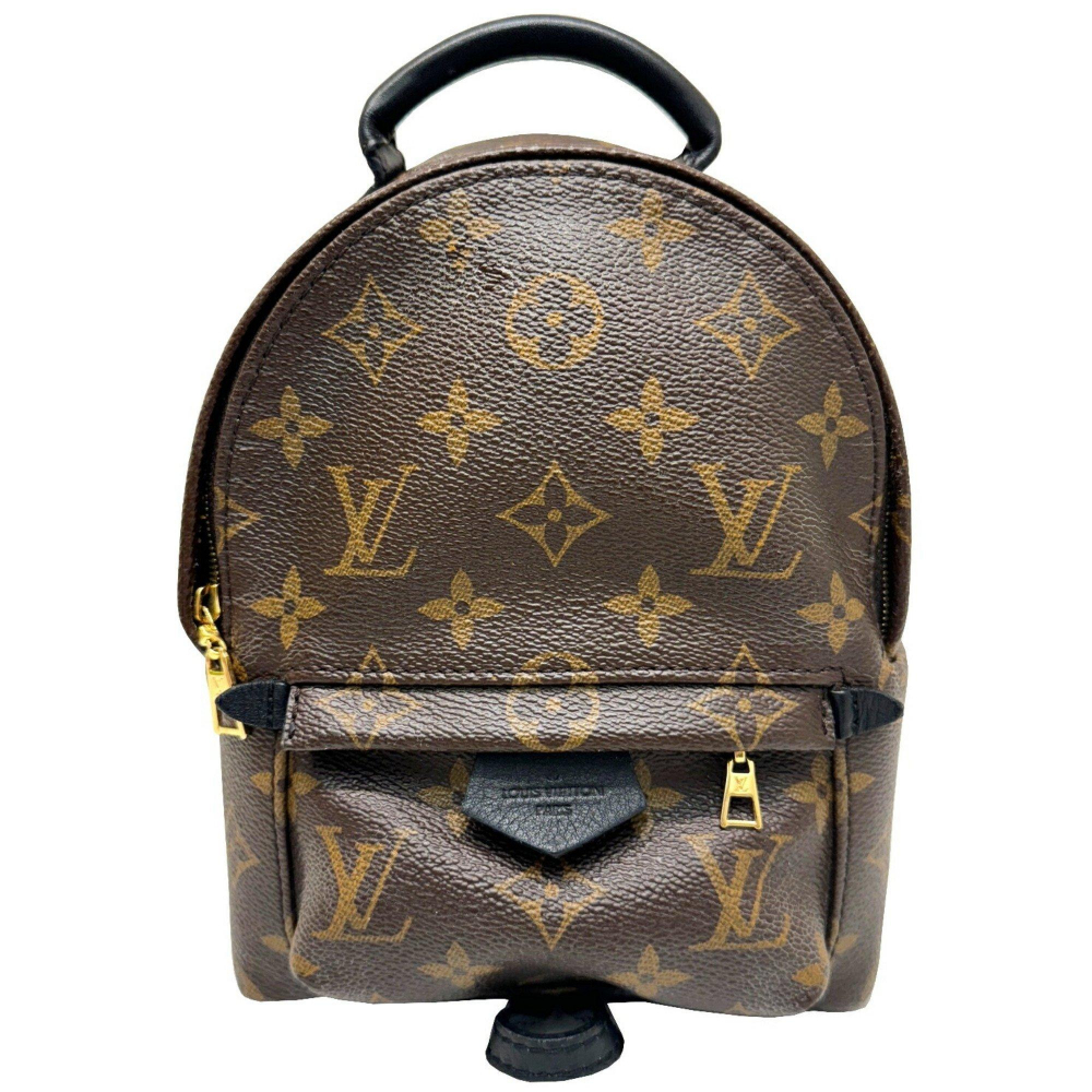 Louis Vuitton Palm Springs mini