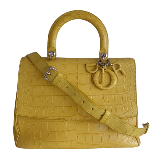 Christian Dior Be Dior crocodile bag