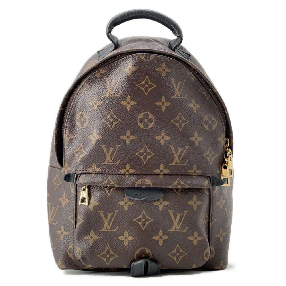 Louis Vuitton Palm Springs mini