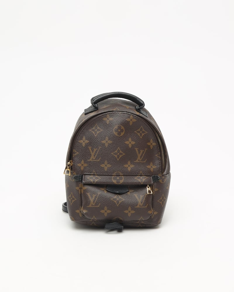 Louis Vuitton Mini Palm Springs Backpack