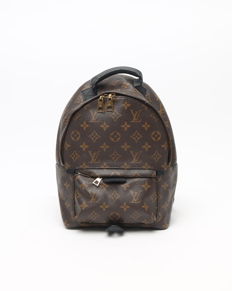 Louis Vuitton Palm Springs Pm Backpack