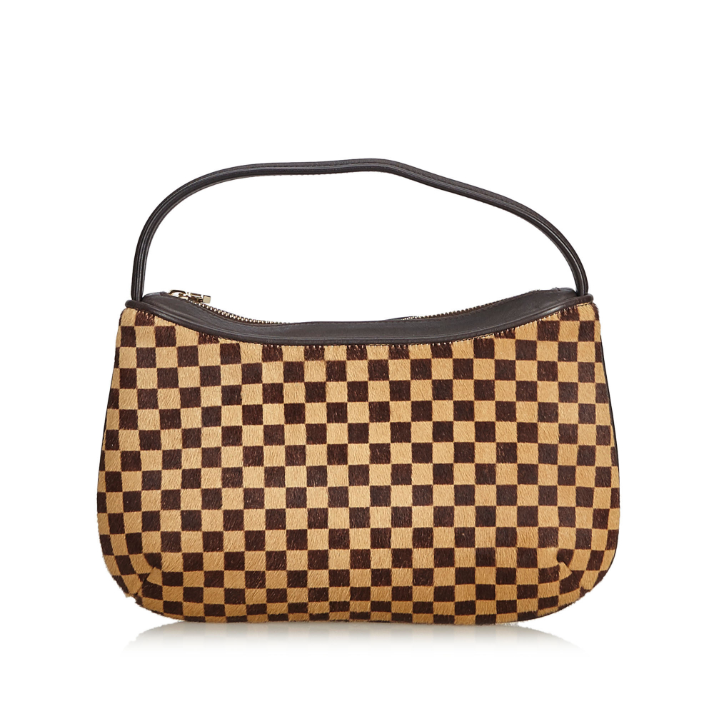 Louis Vuitton Damier Sauvage Tigre