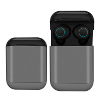 Smartcase Wireless Earphones