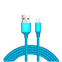 Smartcase Lightning Cable