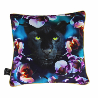 Ashleigh & Burwood Coussin 'Wild Things Born With Cattitude'