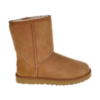 UGG Men's 'Classic' Ankle Boots