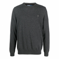 Polo Ralph Lauren Pull pour Hommes