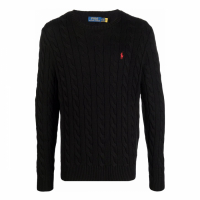 Polo Ralph Lauren Pull 'Logo' pour Hommes