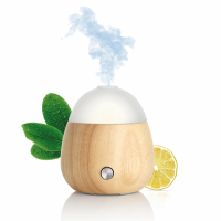 Puressentiel Diffuseur Humidificateur Ultrasonique ATMO