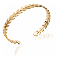 Irotsuki Women's 'Végétal' Bangle