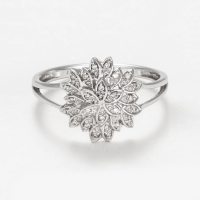 Diamanta Women's 'Aigrette' Ring