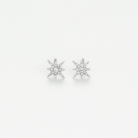 Diamanta Women's 'Star' Earrings