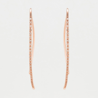 Diamanta Women's 'Lianes Précieuses' Earrings