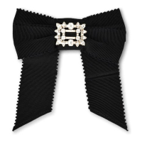 Roger Vivier Women's Hair clip