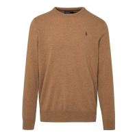 Polo Ralph Lauren Men's 'Polo Pony' Sweater