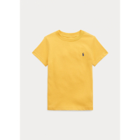 Ralph Lauren Kids Little Boy's 'Jersey'