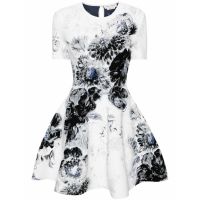 Alexander McQueen Women's 'Chiaroscuro Floral' Mini Dress