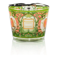 Baobab Collection Bougie parfumée 'Tomorrowland Max 10' - 1.3 Kg