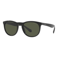 Giorgio Armani Men's 'AR8149-587531' Sunglasses