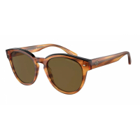 Giorgio Armani Lunettes de soleil 'AR8164F-592173' pour Femmes