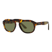 Giorgio Armani Men's 'AR8173-50922A' Sunglasses