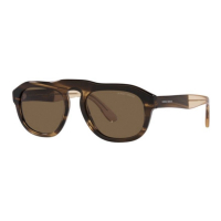 Giorgio Armani Men's 'AR8173-595873' Sunglasses