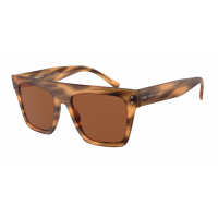 Giorgio Armani Lunettes de soleil 'AR8177-592173'