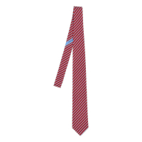 Ferragamo Cravate 'Tinta' pour Hommes