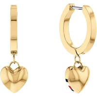 Tommy Hilfiger Boucles d'oreilles pour Femmes