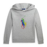 Polo Ralph Lauren Sweatshirt à capuche  'Big Pony Fleece' pour Grands garçons