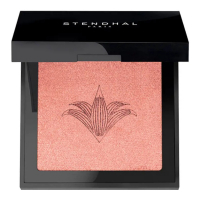 Stendhal Blush 'Illuminating' - 300 Rose Jaipur 5.5 g