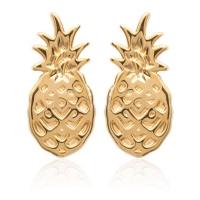 Irotsuki Women's 'Végétal' Earrings