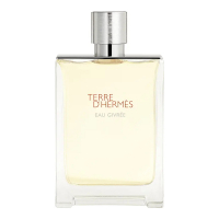 Hermès 'Terre d'Hermès Eau Givrée' Eau de Parfum - Refillable - 175 ml