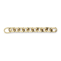 Guess Women's 'The Chain' Bracelet