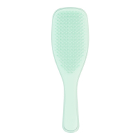 Tangle Teezer 'The Wet Detangler Fine & Fragile' Hair Brush - Mint